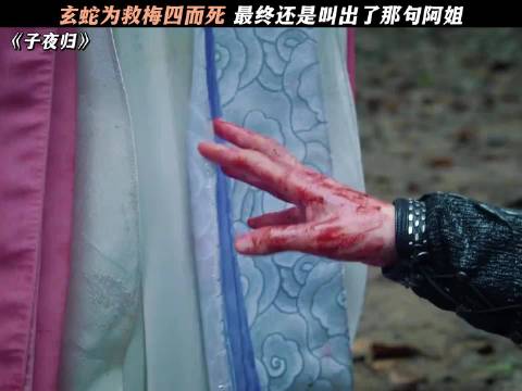 《子夜归》玄虺为救梅四陨落，临终喊出阿姐