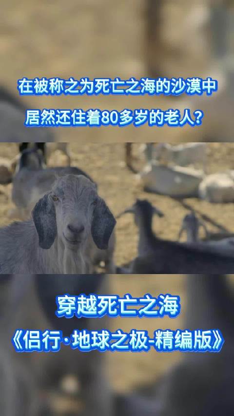 80岁老人独居死亡之海，侣行夫妇纪录片揭秘