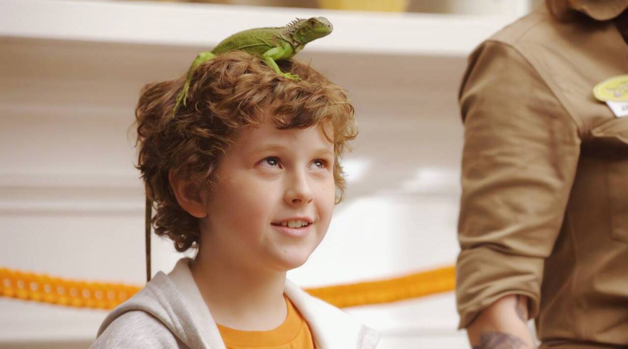 高分经典美剧《摩登家庭》16