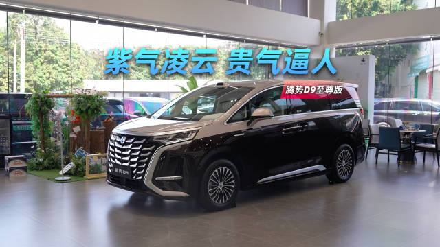 45.98w，应有尽有！体验老板最爱的科技豪华MPV腾势D9至尊版