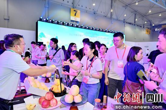 活动现场。成都农博会组委会供图