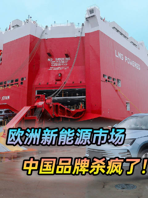 2025上半年中国新能源品牌强势崛起欧洲市场