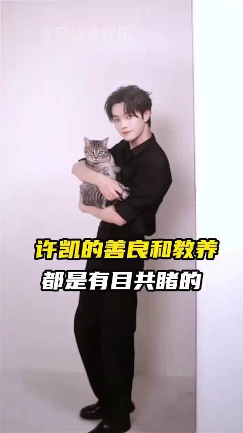 许凯被曝长期聚众赌博