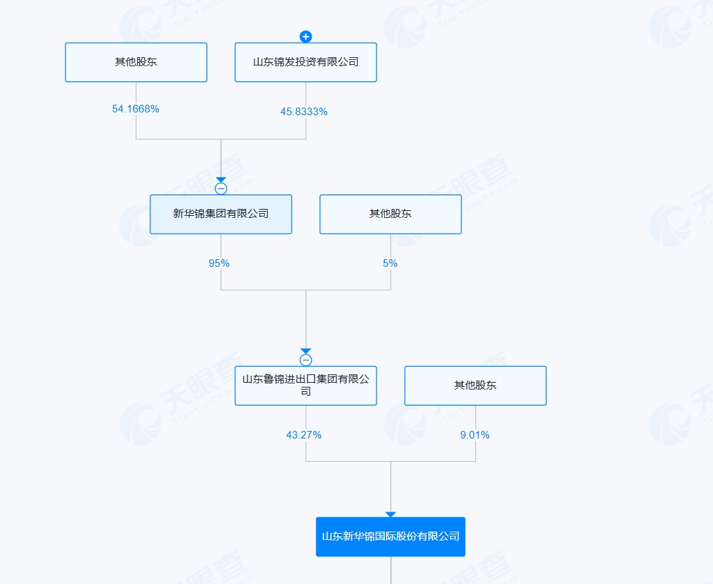 此次被监管点名的新华锦集团,系新华锦间接控股股东。来源:天眼查APP