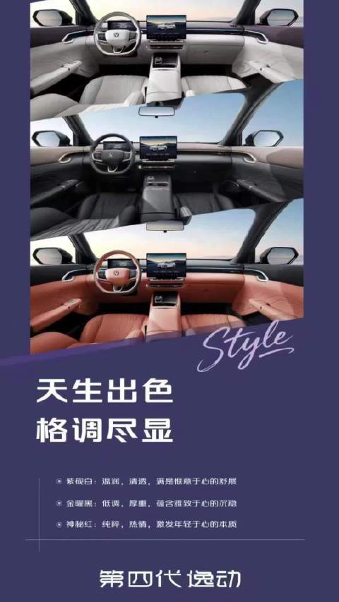 露营时的好搭子