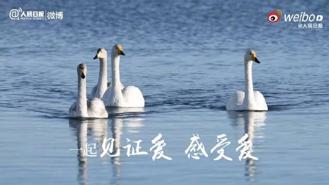 赛里木湖浪漫数字