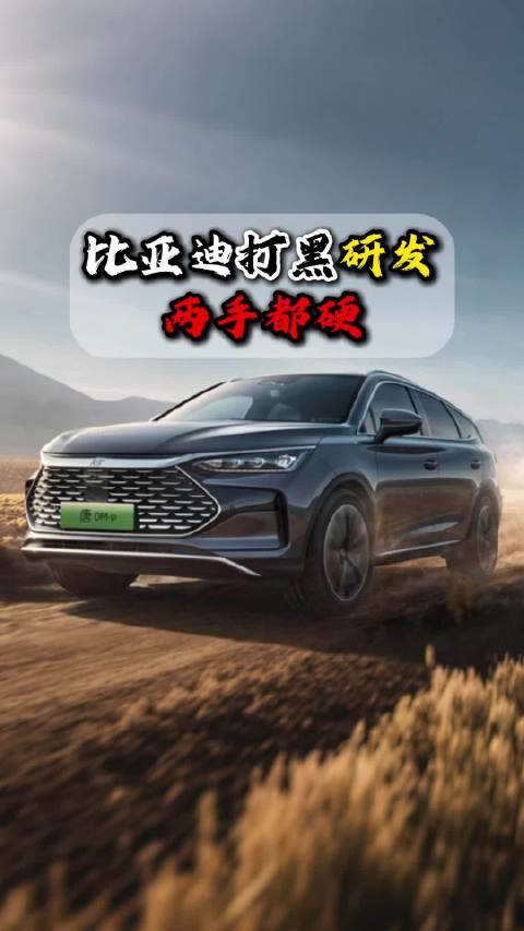 比亚迪加大打黑力度并持续高研发投入
