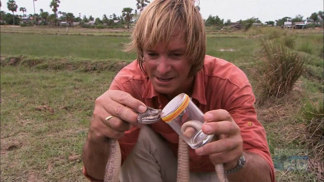 田边的地雷蛇 A Landmine Snake by the Field 纪录片品鉴团