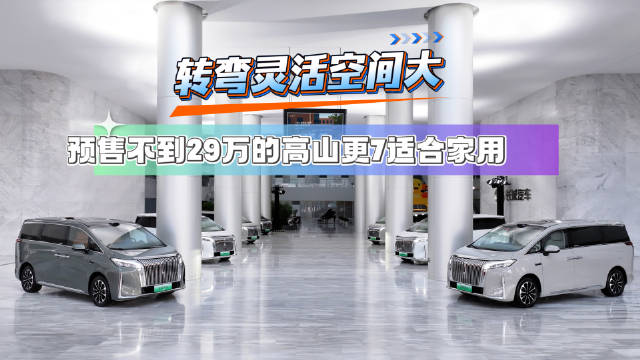 魏牌高山7、8、9三款MPV定位公布，高山7得房率61.1%