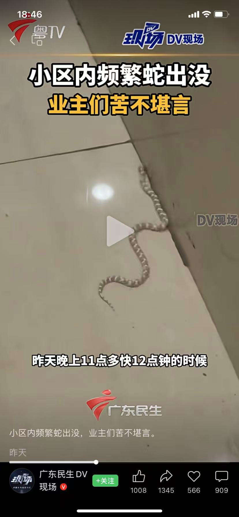 广州某小区出现金环蛇？专家辟谣！