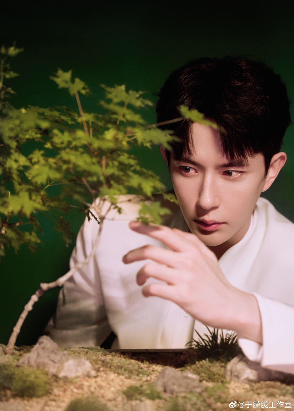 演员于朦胧被传坠楼，知情人士：等官方消息