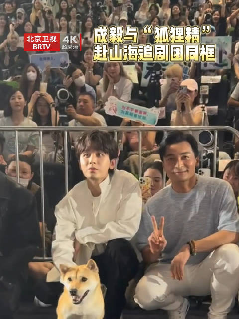 成毅与狐狸精赴山海路演同框