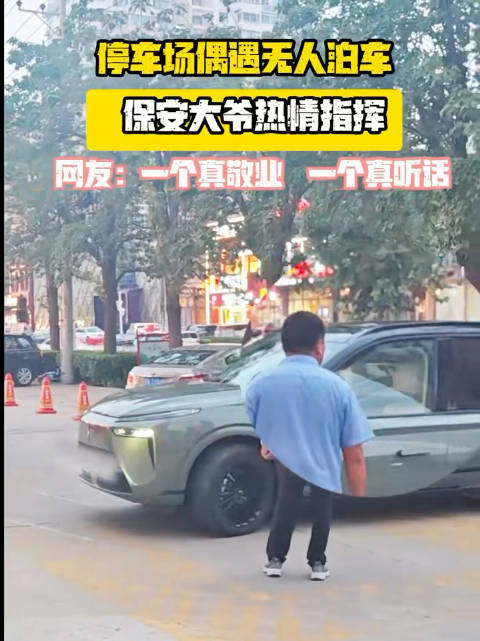 魏牌蓝山离车自动泊车功能获用户认可