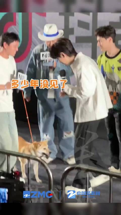 成毅路演现场狐狸精也来了