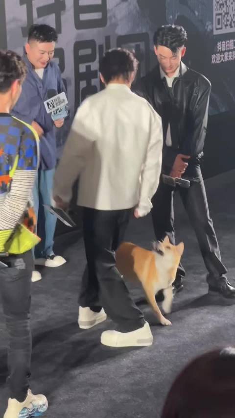 成毅和狐狸精越来越默契了 狐狸精找到了里李莲花