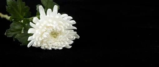 著名女演员辞世！曾出演《情深深雨濛濛》《蜗居》等