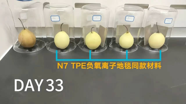 东风日产N7推TPE负氧离子地毯，颜值健康双升级