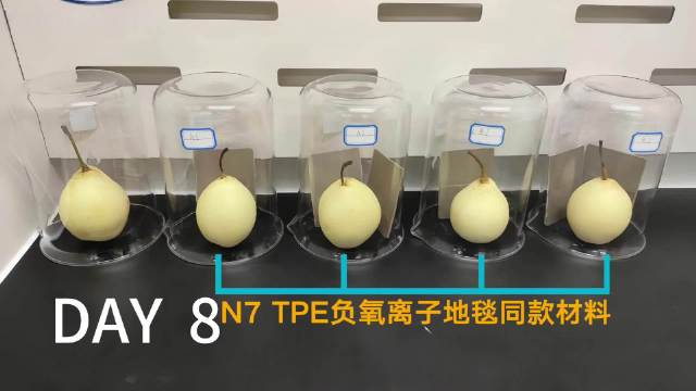 东风日产N7上新TPE负氧离子地毯，车厢3小时变氧吧