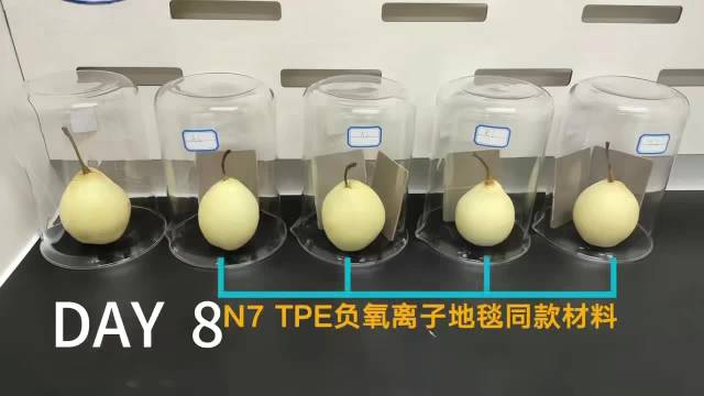 东风日产N7搭载全球首款TPE负氧离子地毯，实车净化达森林级