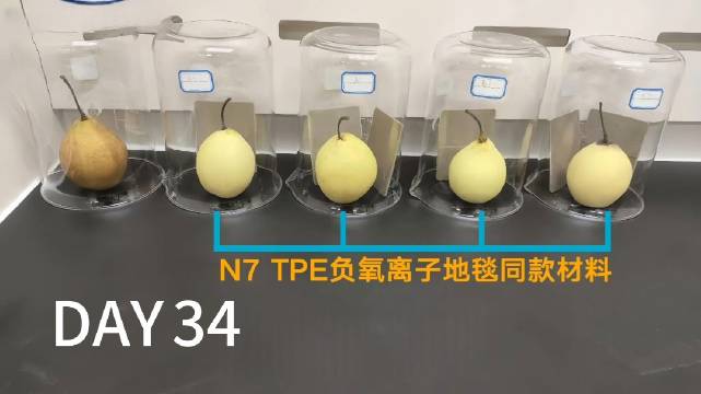 东风日产N7全球首发负氧离子地毯，打造健康座舱2.0时代