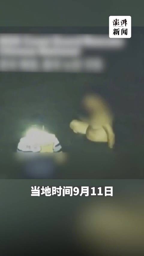 韩国警察为救中国老人殉职