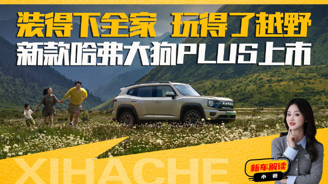 哈弗大狗PLUS上市，升级亮点全解析