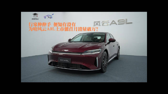 行家伸伸手、便知有没有：为啥风云A9L上市能首月销量破万？