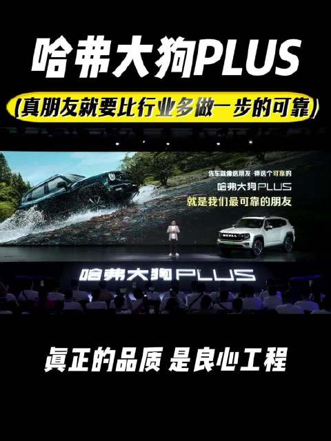 哈弗大狗PLUS：真朋友就是要比行业多做一步的可靠