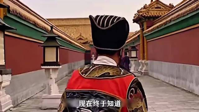 被雪藏10年的《大明王朝1566》太神了！人均800个心眼儿豆瓣9.8分封神