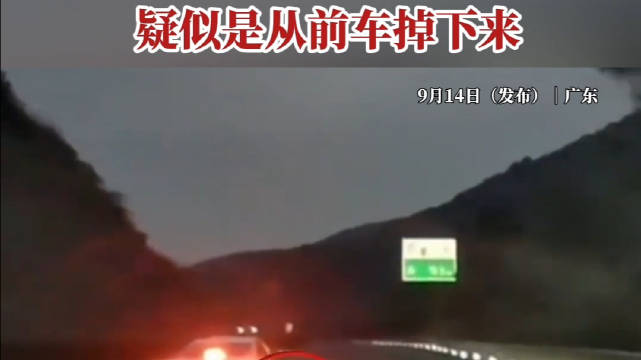 视频车在高速行驶中，突然发现路中间有小孩，疑似从前车掉下来