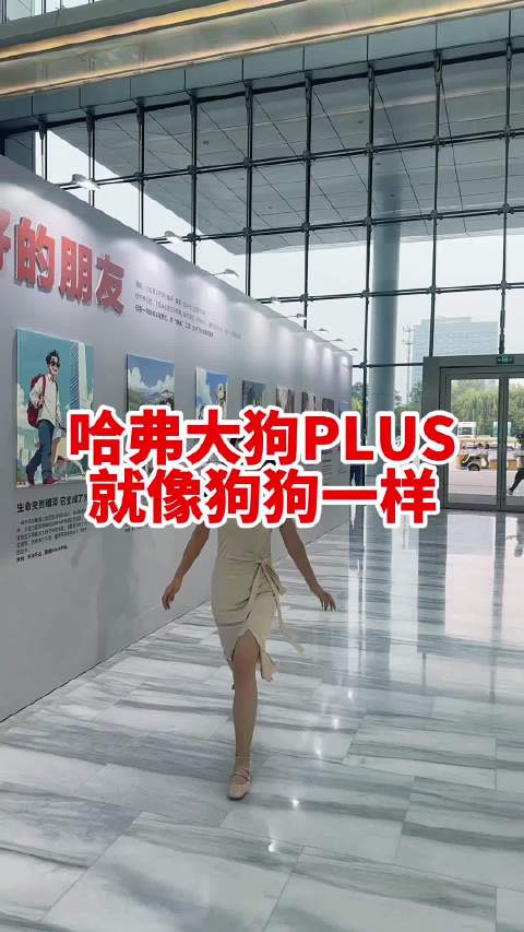 哈弗大狗PLUS你喜欢纯燃油的还是Hi4混动的呢？