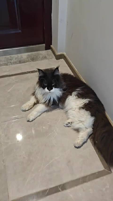 蝙蝠侠突发疾病，瞬间掉重8斤多