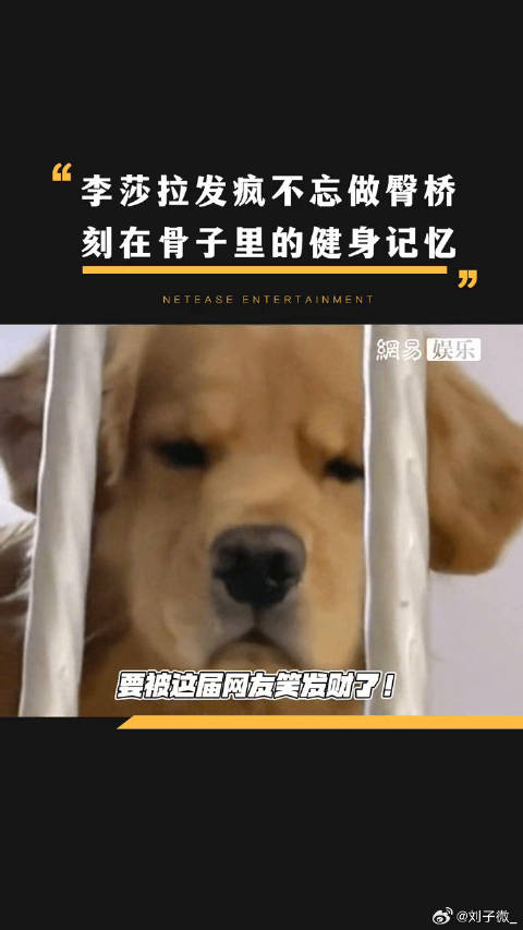 李莎拉 这段发疯属实是笑不活了！网友们都是拿显微镜追剧的吗