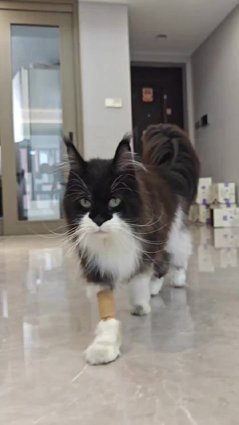 这是蝙蝠侠生病开刀的花费明细，我要是被坑了你就吱一声