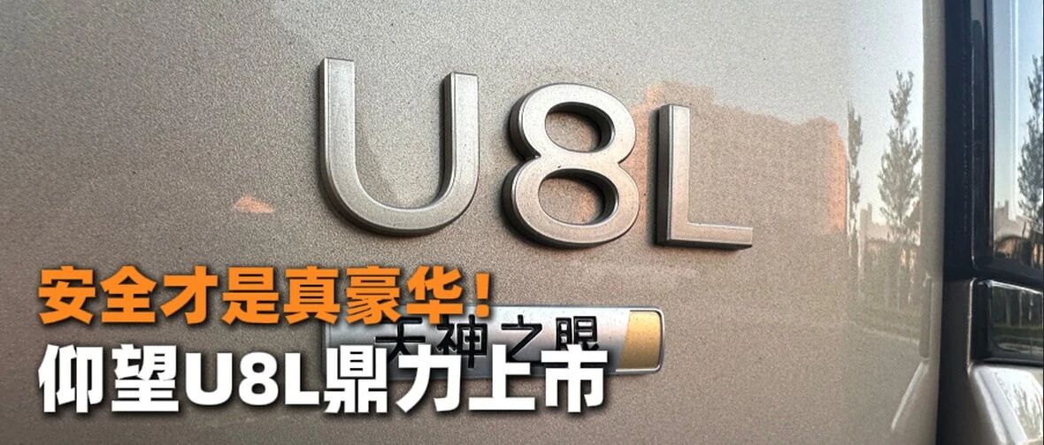 安全才是真豪华！仰望U8L鼎力上市