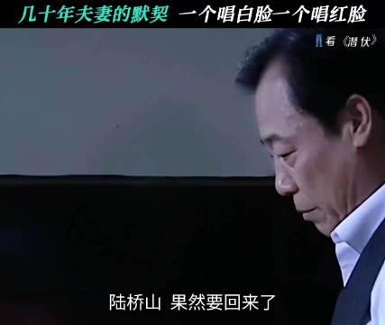 站长夫妇配合是真默契，梅姐深藏功与名 潜伏