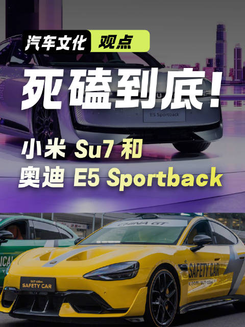 25万预算对决：小米Su7与奥迪E5 Sportback选车指南