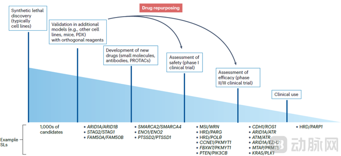 图4. 合成致死赛道代表性靶点（资料来源：Nature Reviews Drug Discovery）