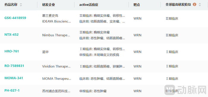 图7. WRN靶点全球研发进展（资料来源：摩熵医药）
