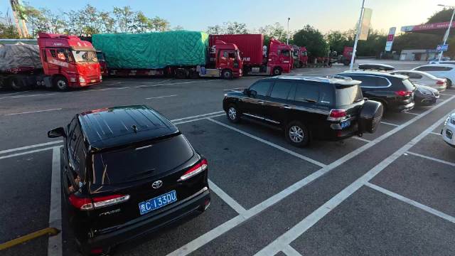 奇瑞瑞虎9测试车自动泊车抢占电车车位