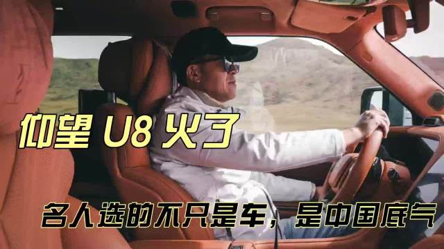 俞敏洪李宁选择仰望U8，展现中国制造底气