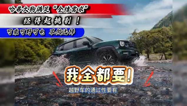 哈弗大狗满足“全维需求”，可乘可野可电 不做选择