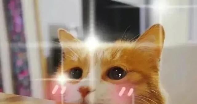 算笔账后，都买了这张卡！购卡限时送1000张蔡健雅、功夫胖音乐会门票！