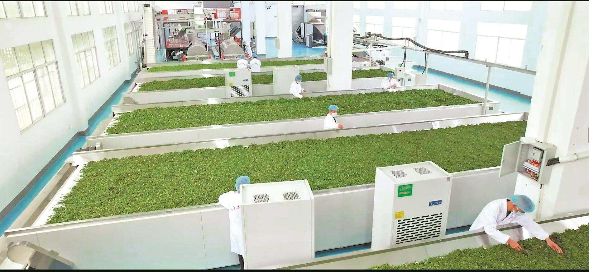 黔货出山产业兴 东莞印江共谱山海情