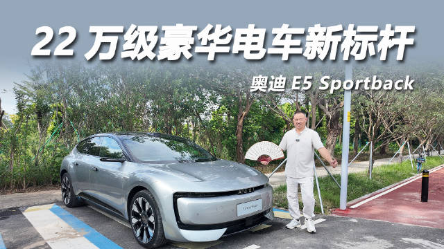 奥迪E5 Sportback上市，标配8295芯片与L2驾驶辅助，22万起