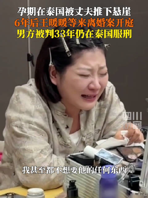 消失的她原型离婚案俞某视频出庭