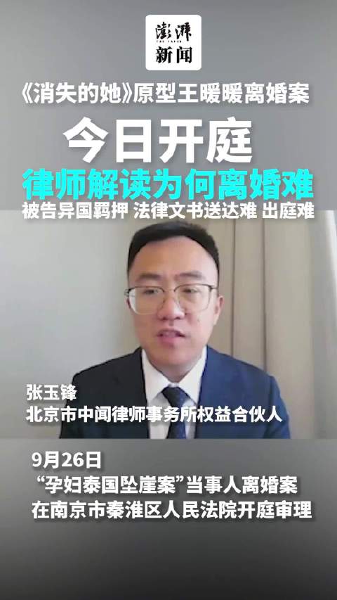 《消失的她》原型王暖暖离婚案事发6年后开庭，律师解读为何离婚难