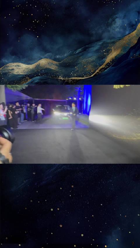 段奕宏胡军李小冉等明星齐聚上海出席岚图时代风尚之夜