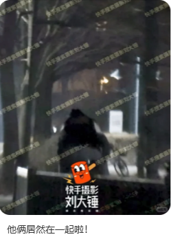 祝福还是劝分：谁在决定明星恋情的审判标准