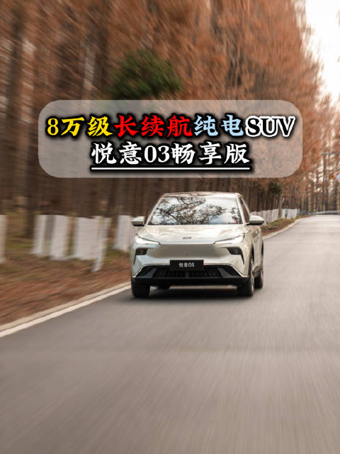 8万级大空间纯电SUV悦意03续航智能安全出色